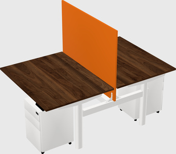 Shared electric desk