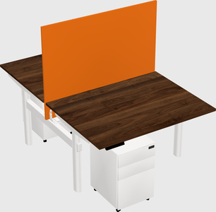 Shared electric desk