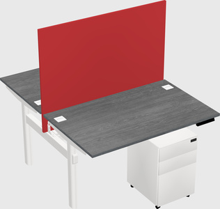 Shared electric desk