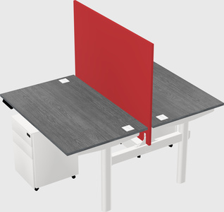 Shared electric desk