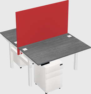 Shared electric desk