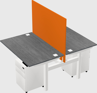 Shared electric desk