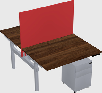 Shared electric desk