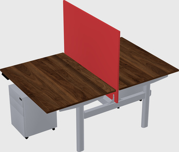 Shared electric desk