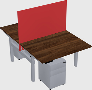 Shared electric desk