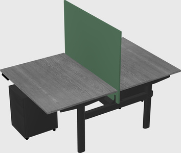 Shared electric desk