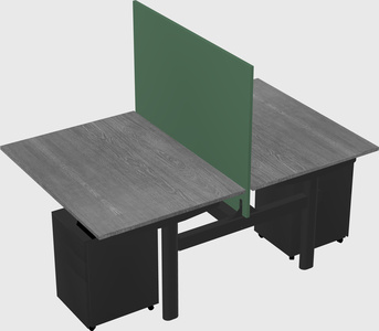 Shared electric desk