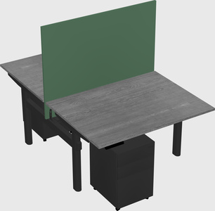 Shared electric desk