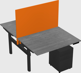 Shared electric desk