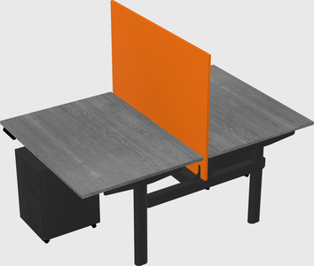 Shared electric desk