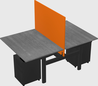 Shared electric desk