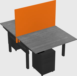 Shared electric desk