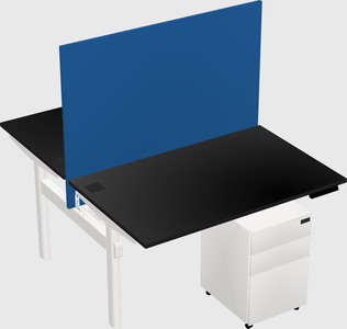 Shared electric desk