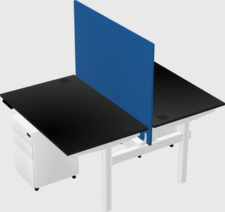 Shared electric desk