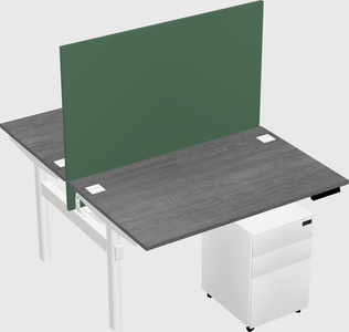 Shared electric desk