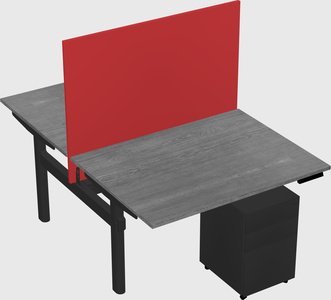 Shared electric desk