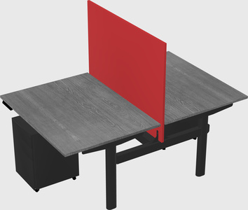 Shared electric desk
