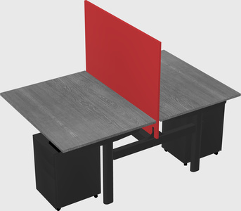 Shared electric desk