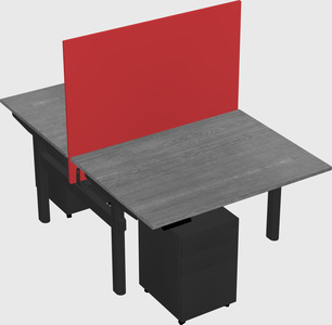 Shared electric desk
