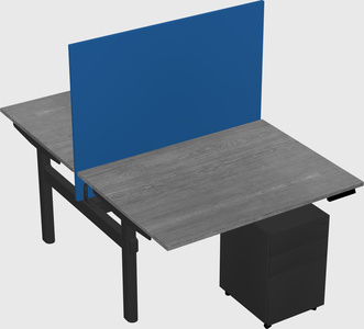 Shared electric desk