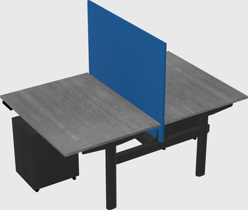 Shared electric desk