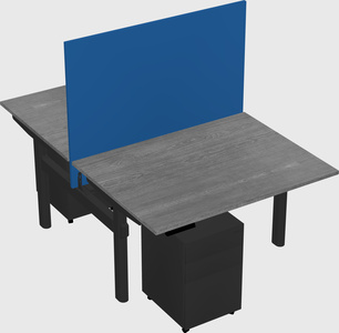 Shared electric desk