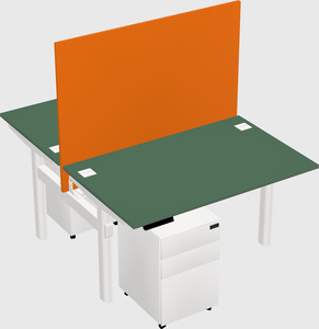 Shared electric desk