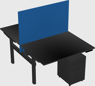 Shared electric desk