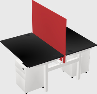 Shared electric desk