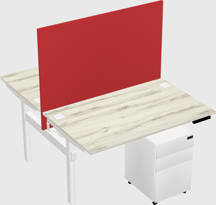 Shared electric desk