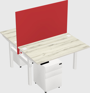 Shared electric desk