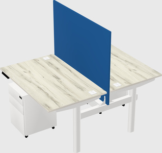 Shared electric desk