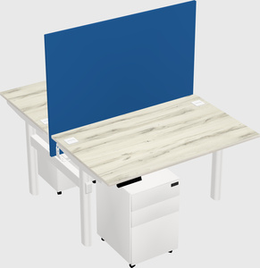 Shared electric desk
