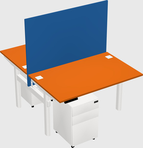 Shared electric desk