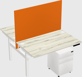 Shared electric desk