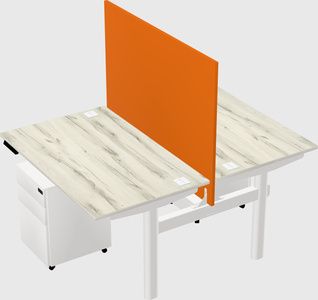 Shared electric desk