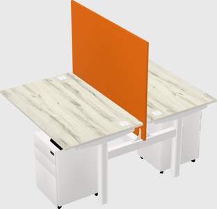 Shared electric desk