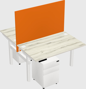 Shared electric desk