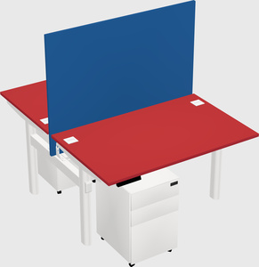 Shared electric desk