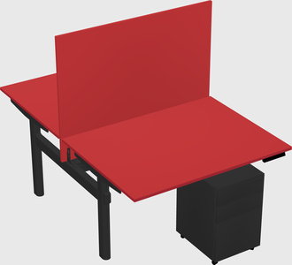 Shared electric desk