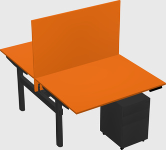 Shared electric desk