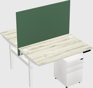 Shared electric desk