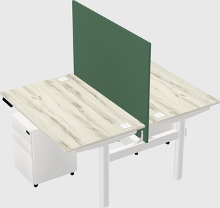 Shared electric desk