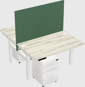Shared electric desk