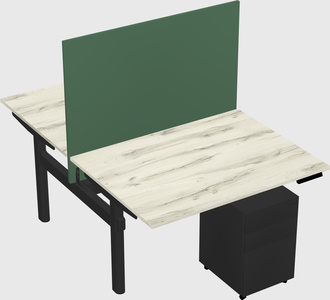 Shared electric desk
