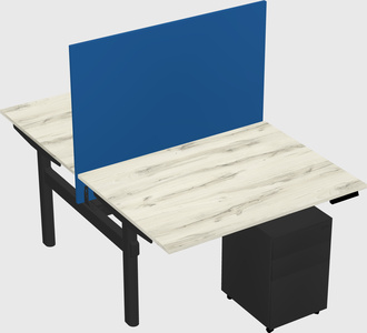 Shared electric desk