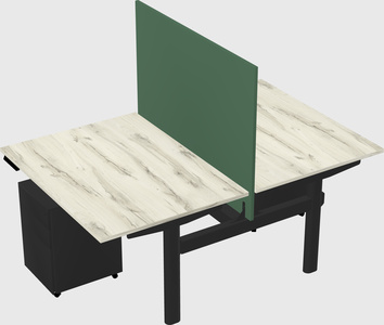 Shared electric desk