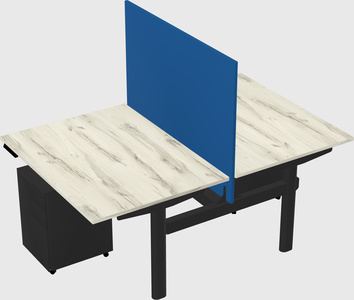 Shared electric desk