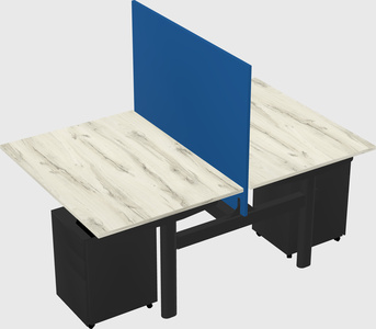 Shared electric desk