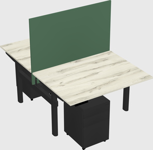 Shared electric desk